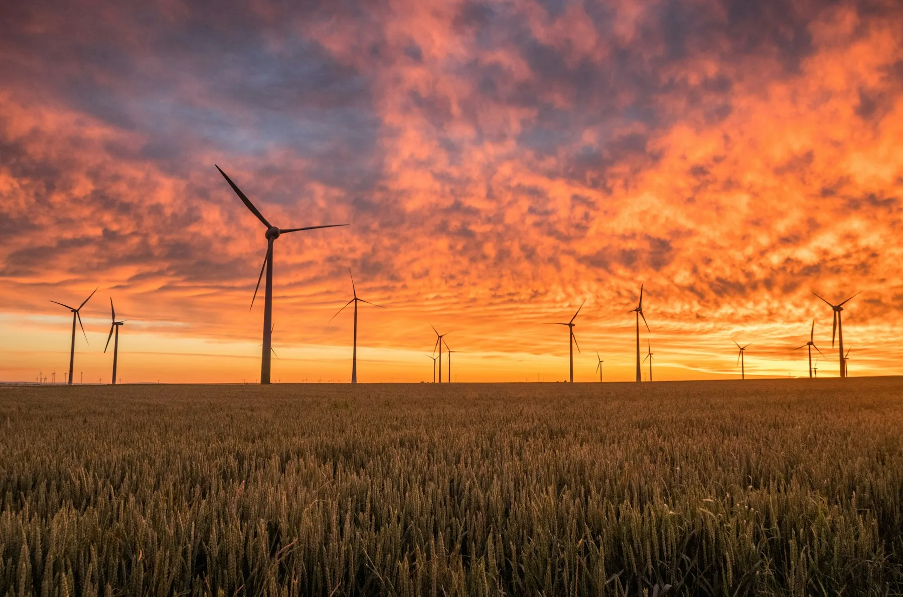 Wind turbines across fields at sunset in Biedesheim, Germany