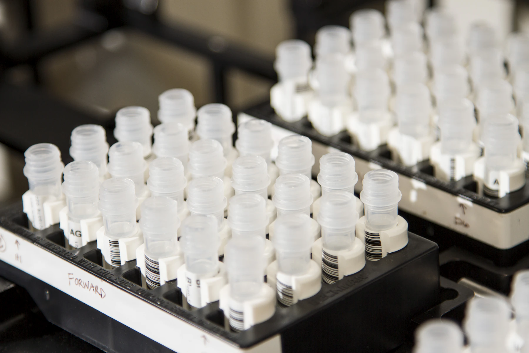 DNA sample vials arranged in racks at the Cancer Genomics Research Laboratory