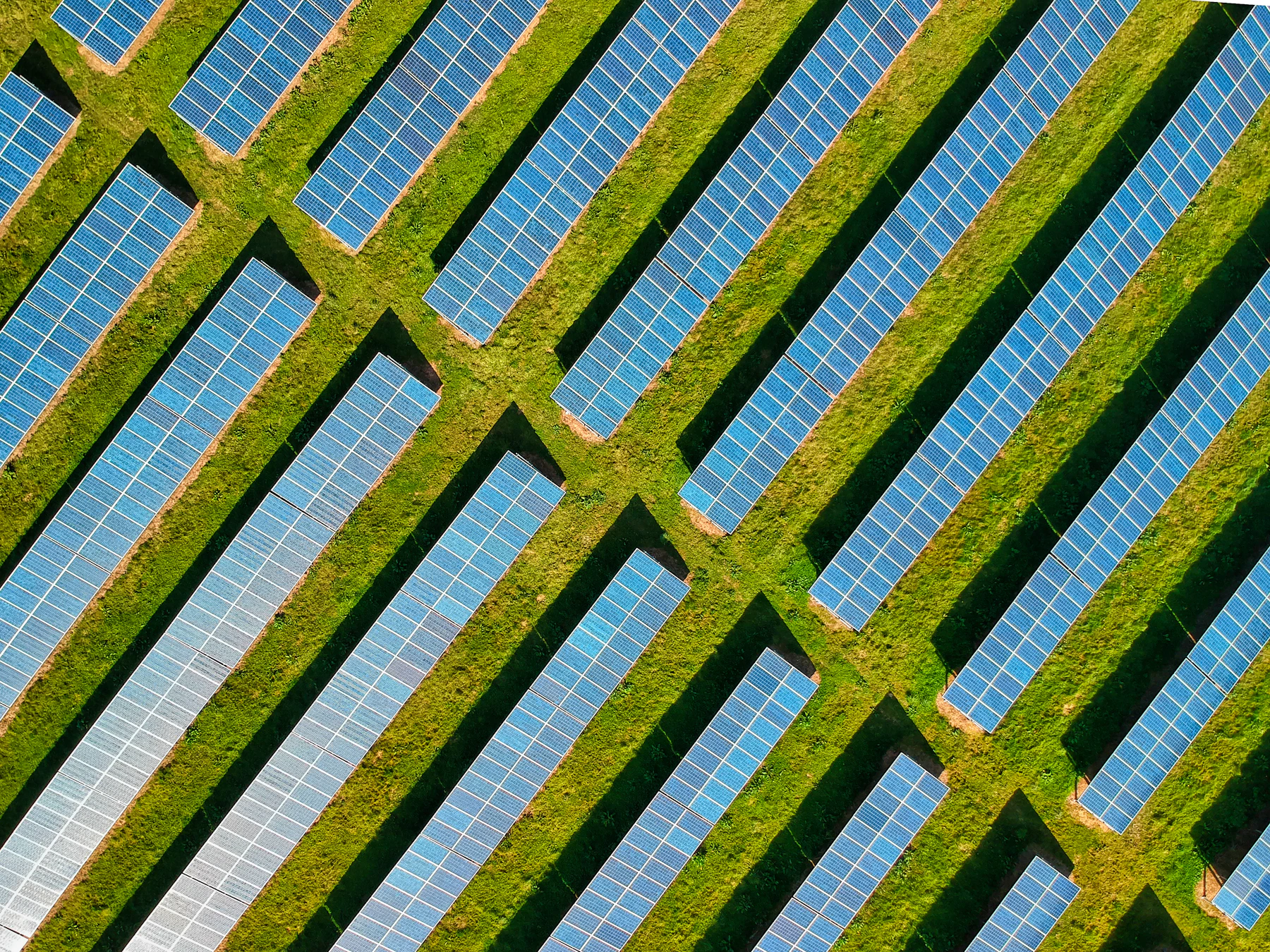 Aerial view of solar-panel arrays and grass at Lower Allercombe Farm in Devon